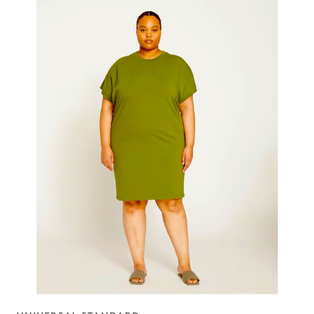 Universal Standard Elizabeth Tshirt Dress